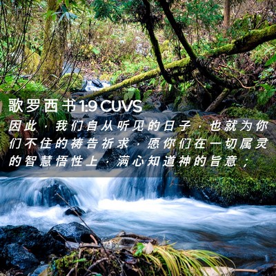 Picture 02 - 歌 罗 西 书 1:9 CUVS - 因 此 ， 我 们 自 从 听 见 的 日 子 - Bible Verse Picture