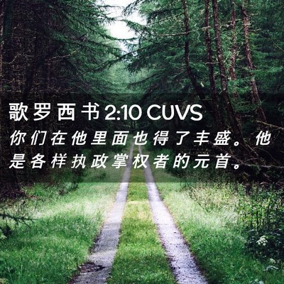 Picture 02 - 歌 罗 西 书 2:10 CUVS - 你 们 在 他 里 面 也 得 了 丰 盛 。 - Bible Verse Picture