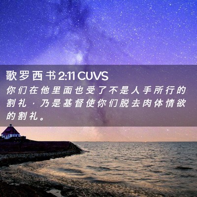 Picture 02 - 歌 罗 西 书 2:11 CUVS - 你 们 在 他 里 面 也 受 了 不 是 人 - Bible Verse Picture