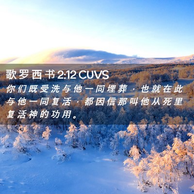 Picture 02 - 歌 罗 西 书 2:12 CUVS - 你 们 既 受 洗 与 他 一 同 埋 葬 ， - Bible Verse Picture