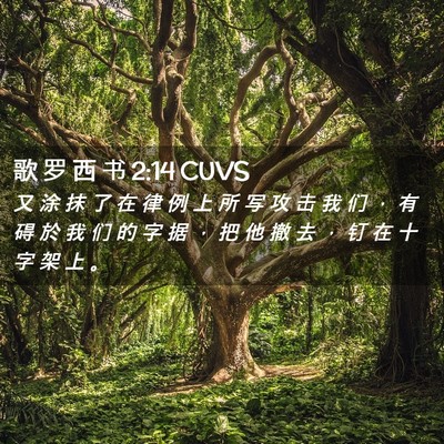 Picture 02 - 歌 罗 西 书 2:14 CUVS - 又 涂 抹 了 在 律 例 上 所 写 攻 击 - Bible Verse Picture