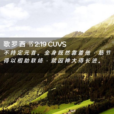 Picture 02 - 歌 罗 西 书 2:19 CUVS - 不 持 定 元 首 。 全 身 既 然 靠 着 - Bible Verse Picture
