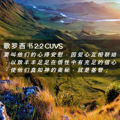 Picture 02 - 歌 罗 西 书 2:2 CUVS - 要 叫 他 们 的 心 得 安 慰 ， 因 爱 - Bible Verse Picture
