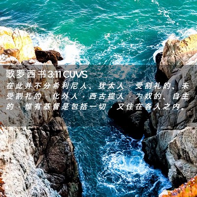 Picture 02 - 歌 罗 西 书 3:11 CUVS - 在 此 并 不 分 希 利 尼 人 、 犹 太 - Bible Verse Picture