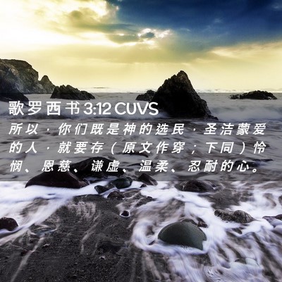 Picture 02 - 歌 罗 西 书 3:12 CUVS - 所 以 ， 你 们 既 是 神 的 选 民 ， - Bible Verse Picture