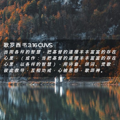 Picture 02 - 歌 罗 西 书 3:16 CUVS - 当 用 各 样 的 智 慧 ， 把 基 督 的 - Bible Verse Picture