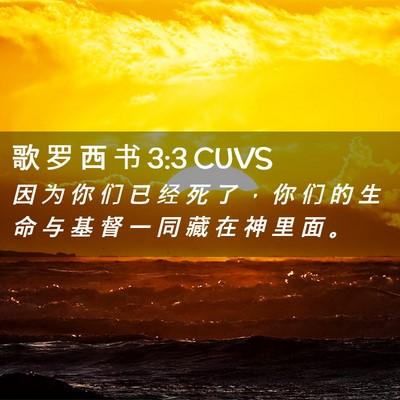 Picture 02 - 歌 罗 西 书 3:3 CUVS - 因 为 你 们 已 经 死 了 ， 你 们 的 - Bible Verse Picture