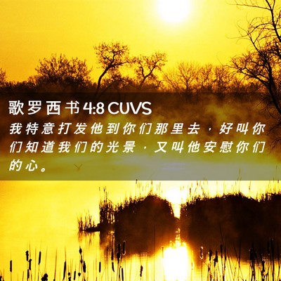 Picture 02 - 歌 罗 西 书 4:8 CUVS - 我 特 意 打 发 他 到 你 们 那 里 去 - Bible Verse Picture