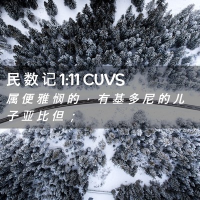 Picture 02 - 民 数 记 1:11 CUVS - 属 便 雅 悯 的 ， 有 基 多 尼 的 儿 - Bible Verse Picture