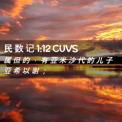 Picture 02 - 民 数 记 1:12 CUVS - 属 但 的 ， 有 亚 米 沙 代 的 儿 子 - Bible Verse Picture