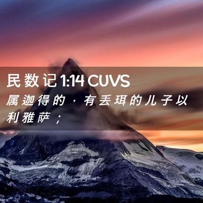 Picture 02 - 民 数 记 1:14 CUVS - 属 迦 得 的 ， 有 丢 珥 的 儿 子 以 - Bible Verse Picture