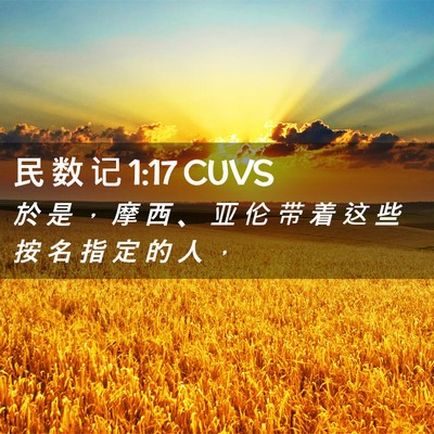 Picture 02 - 民 数 记 1:17 CUVS - 於 是 ， 摩 西 、 亚 伦 带 着 这 些 - Bible Verse Picture