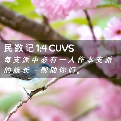Picture 02 - 民 数 记 1:4 CUVS - 每 支 派 中 必 有 一 人 作 本 支 派 - Bible Verse Picture