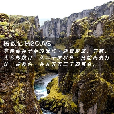 Picture 02 - 民 数 记 1:42 CUVS - 拿 弗 他 利 子 孙 的 後 代 ， 照 着 - Bible Verse Picture