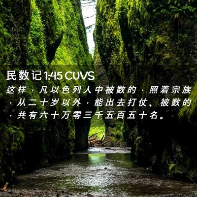 Picture 02 - 民 数 记 1:45 CUVS - 这 样 ， 凡 以 色 列 人 中 被 数 的 - Bible Verse Picture