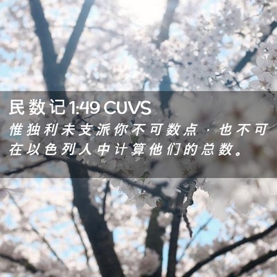 Picture 02 - 民 数 记 1:49 CUVS - 惟 独 利 未 支 派 你 不 可 数 点 ， - Bible Verse Picture