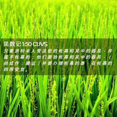 Picture 02 - 民 数 记 1:50 CUVS - 只 要 派 利 未 人 管 法 柜 的 帐 幕 - Bible Verse Picture