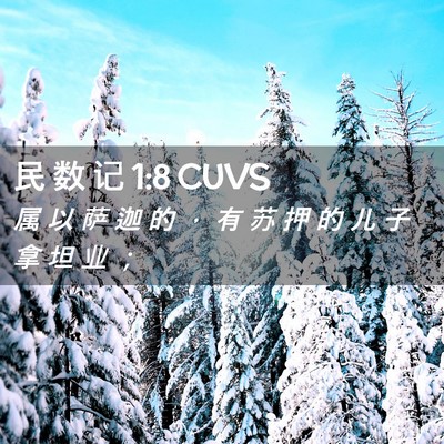 Picture 02 - 民 数 记 1:8 CUVS - 属 以 萨 迦 的 ， 有 苏 押 的 儿 子 - Bible Verse Picture