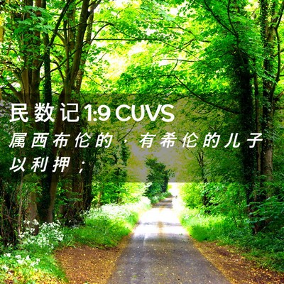Picture 02 - 民 数 记 1:9 CUVS - 属 西 布 伦 的 ， 有 希 伦 的 儿 子 - Bible Verse Picture