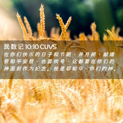 Picture 02 - 民 数 记 10:10 CUVS - 在 你 们 快 乐 的 日 子 和 节 期 ， - Bible Verse Picture