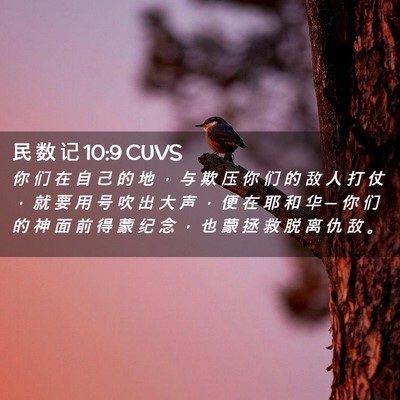 Picture 02 - 民 数 记 10:9 CUVS - 你 们 在 自 己 的 地 ， 与 欺 压 你 - Bible Verse Picture