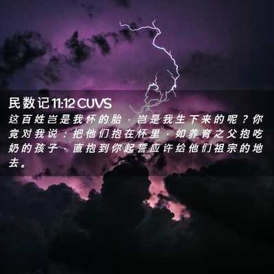 Picture 02 - 民 数 记 11:12 CUVS - 这 百 姓 岂 是 我 怀 的 胎 ， 岂 是 - Bible Verse Picture