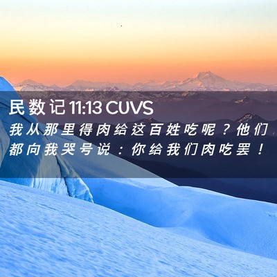 Picture 02 - 民 数 记 11:13 CUVS - 我 从 那 里 得 肉 给 这 百 姓 吃 呢 - Bible Verse Picture