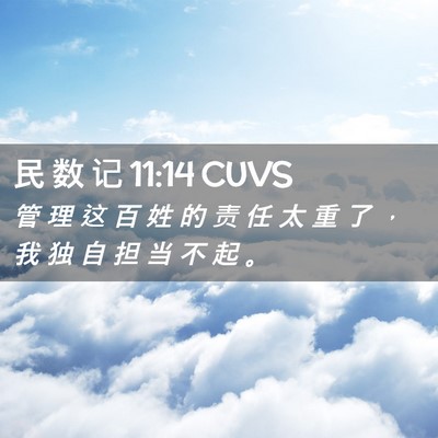 Picture 02 - 民 数 记 11:14 CUVS - 管 理 这 百 姓 的 责 任 太 重 了 ， - Bible Verse Picture