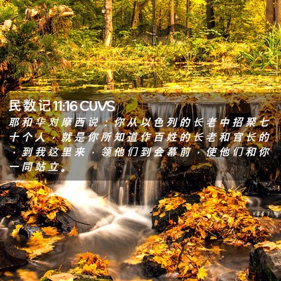 Picture 02 - 民 数 记 11:16 CUVS - 耶 和 华 对 摩 西 说 ： 你 从 以 色 - Bible Verse Picture