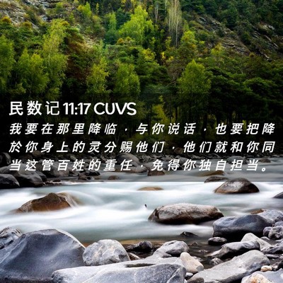 Picture 02 - 民 数 记 11:17 CUVS - 我 要 在 那 里 降 临 ， 与 你 说 话 - Bible Verse Picture