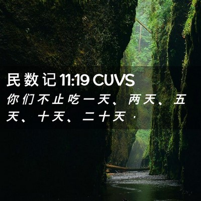 Picture 02 - 民 数 记 11:19 CUVS - 你 们 不 止 吃 一 天 、 两 天 、 五 - Bible Verse Picture