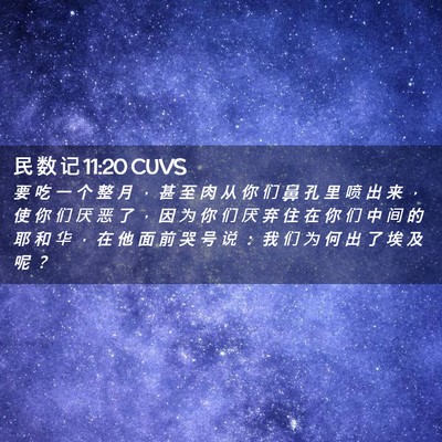 Picture 02 - 民 数 记 11:20 CUVS - 要 吃 一 个 整 月 ， 甚 至 肉 从 你 - Bible Verse Picture