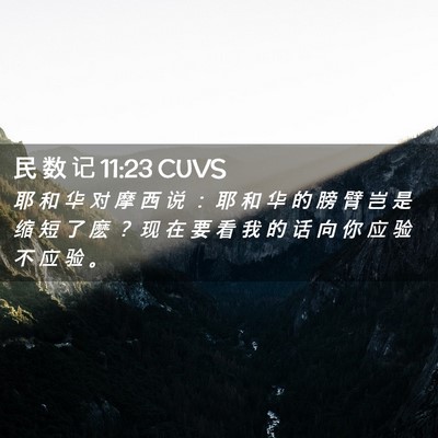 Picture 02 - 民 数 记 11:23 CUVS - 耶 和 华 对 摩 西 说 ： 耶 和 华 的 - Bible Verse Picture