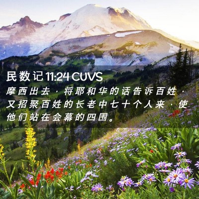 Picture 02 - 民 数 记 11:24 CUVS - 摩 西 出 去 ， 将 耶 和 华 的 话 告 - Bible Verse Picture