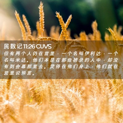 Picture 02 - 民 数 记 11:26 CUVS - 但 有 两 个 人 仍 在 营 里 ， 一 个 - Bible Verse Picture