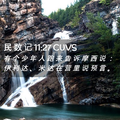Picture 02 - 民 数 记 11:27 CUVS - 有 个 少 年 人 跑 来 告 诉 摩 西 说 - Bible Verse Picture