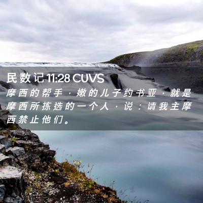 Picture 02 - 民 数 记 11:28 CUVS - 摩 西 的 帮 手 ， 嫩 的 儿 子 约 书 - Bible Verse Picture