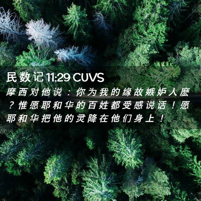 Picture 02 - 民 数 记 11:29 CUVS - 摩 西 对 他 说 ： 你 为 我 的 缘 故 - Bible Verse Picture