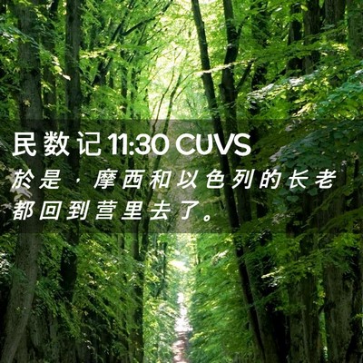 Picture 02 - 民 数 记 11:30 CUVS - 於 是 ， 摩 西 和 以 色 列 的 长 老 - Bible Verse Picture