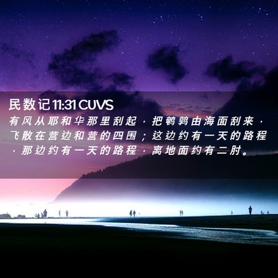 Picture 02 - 民 数 记 11:31 CUVS - 有 风 从 耶 和 华 那 里 刮 起 ， 把 - Bible Verse Picture