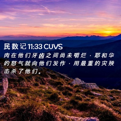 Picture 02 - 民 数 记 11:33 CUVS - 肉 在 他 们 牙 齿 之 间 尚 未 嚼 烂 - Bible Verse Picture