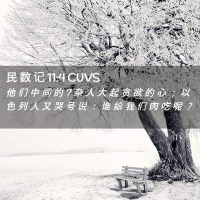 Picture 02 - 民 数 记 11:4 CUVS - 他 们 中 间 的 ? 杂 人 大 起 贪 欲 的 - Bible Verse Picture