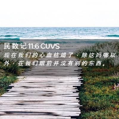 Picture 02 - 民 数 记 11:6 CUVS - 现 在 我 们 的 心 血 枯 竭 了 ， 除 - Bible Verse Picture