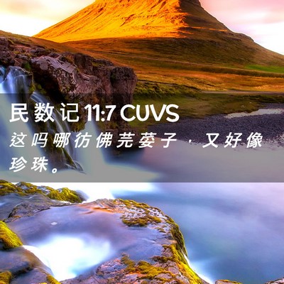 Picture 02 - 民 数 记 11:7 CUVS - 这 吗 哪 彷 佛 芫 荽 子 ， 又 好 像 - Bible Verse Picture