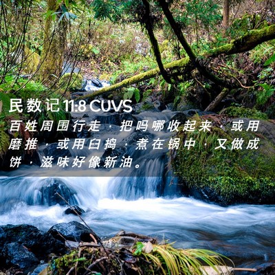 Picture 02 - 民 数 记 11:8 CUVS - 百 姓 周 围 行 走 ， 把 吗 哪 收 起 - Bible Verse Picture