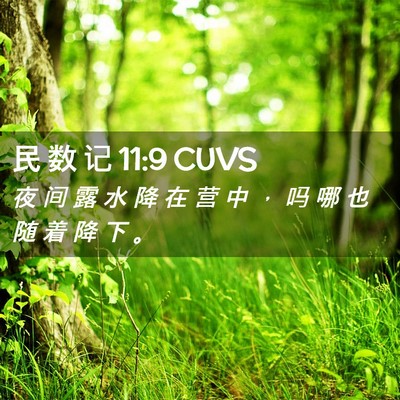 Picture 02 - 民 数 记 11:9 CUVS - 夜 间 露 水 降 在 营 中 ， 吗 哪 也 - Bible Verse Picture