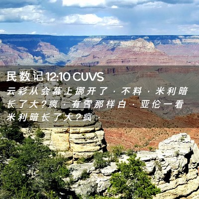 Picture 02 - 民 数 记 12:10 CUVS - 云 彩 从 会 幕 上 挪 开 了 ， 不 料 - Bible Verse Picture
