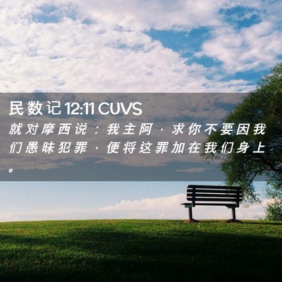 Picture 02 - 民 数 记 12:11 CUVS - 就 对 摩 西 说 ： 我 主 阿 ， 求 你 - Bible Verse Picture