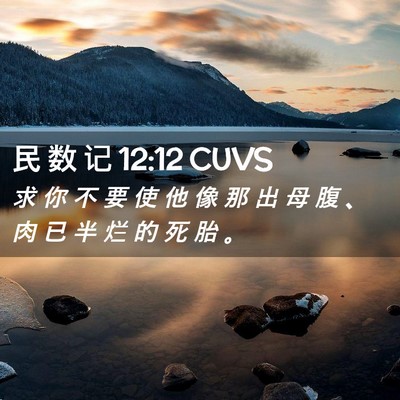 Picture 02 - 民 数 记 12:12 CUVS - 求 你 不 要 使 他 像 那 出 母 腹 、 - Bible Verse Picture
