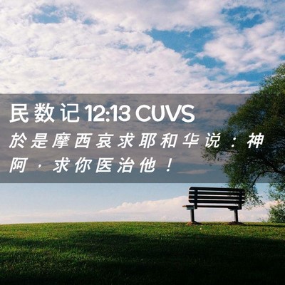 Picture 02 - 民 数 记 12:13 CUVS - 於 是 摩 西 哀 求 耶 和 华 说 ： 神 - Bible Verse Picture